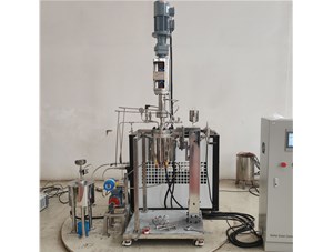 1.5L不锈钢油浴电加热实验釜已完工发往马来西亚