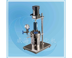 GSA型实验高压反应釜