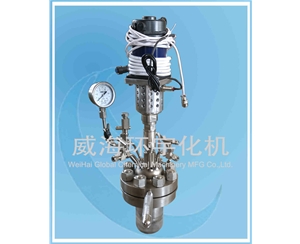 0.5L 微型反应釜