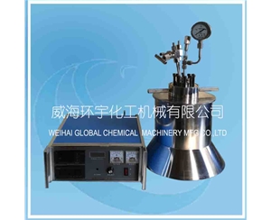 High Pressure Lab Reactor with PID