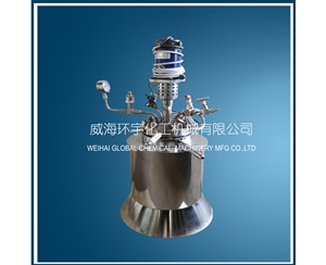 1L Magnetic High Pressure Reactor