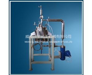 2L Lab Reactor with Recycle Pump