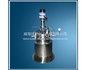 1L High Temperature High Pressure Reactor