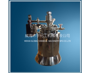 5L High Temperature High Pressure Reactor