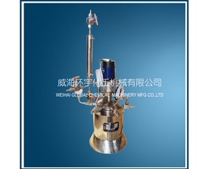 Lab Reactor with Vertical Condenser