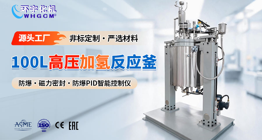 100L高压不锈钢电动升降反应釜